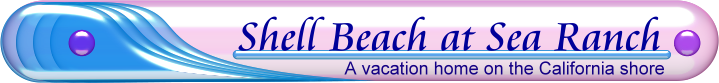 Vacation Rental Property